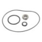 Gasket kit for WP365 Briggs and Stratton - 198158GS