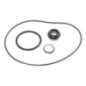 Gasket kit for WP365 Briggs and Stratton - 198158GS