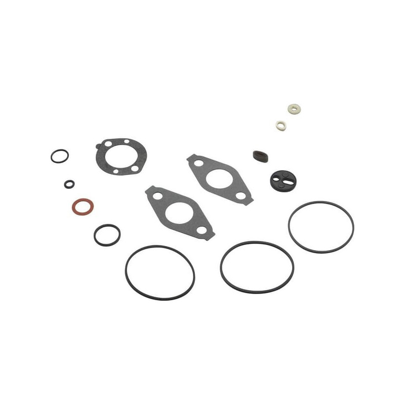 Kit de junta do carburador Briggs and Stratton - 797635