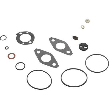 Kit de joints pour carburateur Briggs et Stratton - 797635