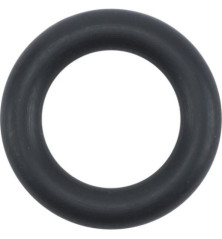 O-Ring von Briggs und Stratton – 841653