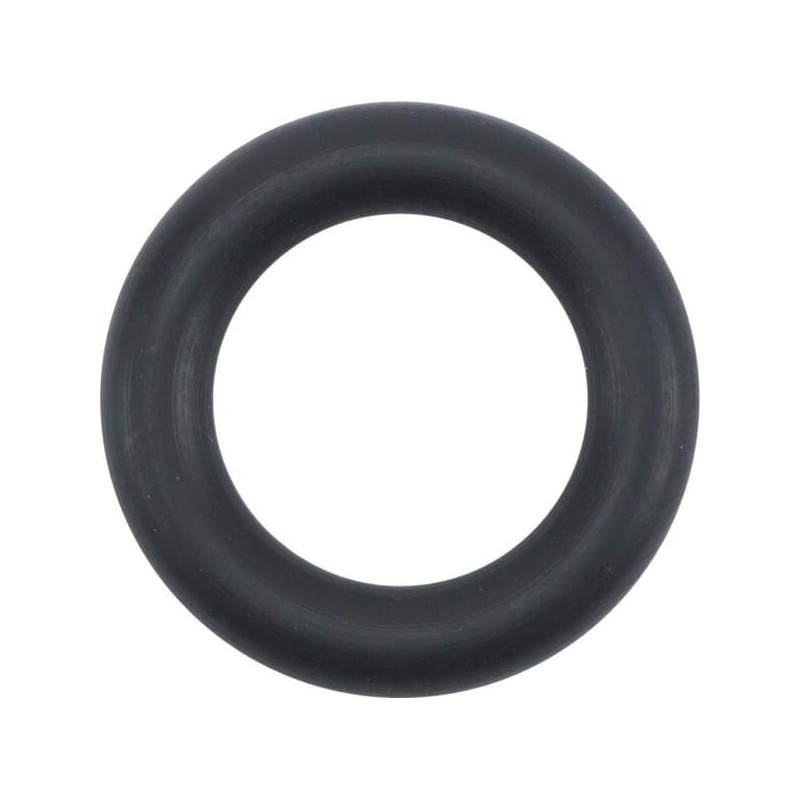 Joint torique Briggs et Stratton - 841653