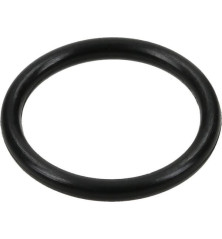 O-Ring von Briggs und Stratton – 841301