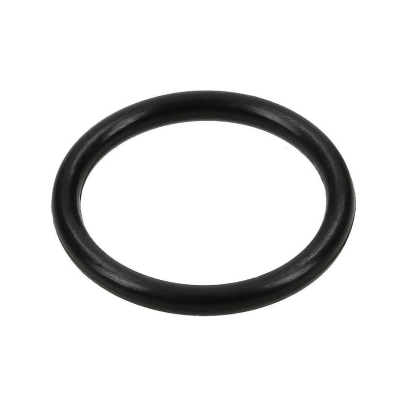 O-ring Briggs e Stratton - 799581