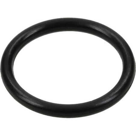 O-Ring von Briggs und Stratton – 799581