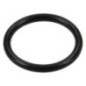 O-ring Briggs e Stratton - 799581