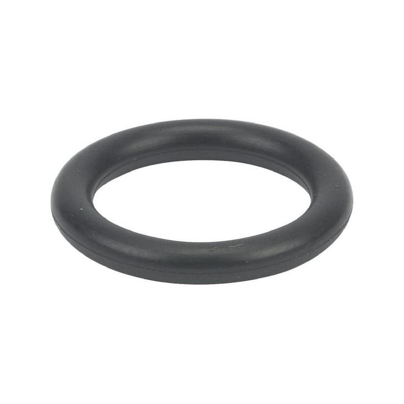 Joint torique Briggs et Stratton - 699725