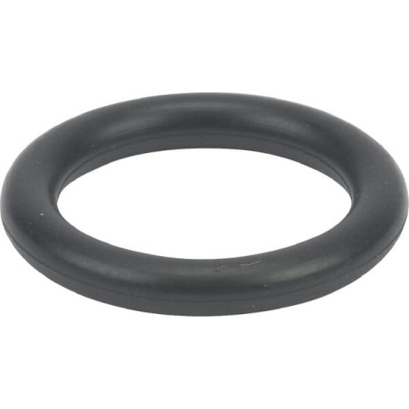 Joint torique Briggs et Stratton - 699725