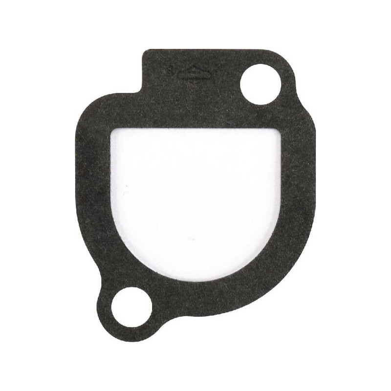 Guarnizione Briggs e Stratton - 272043