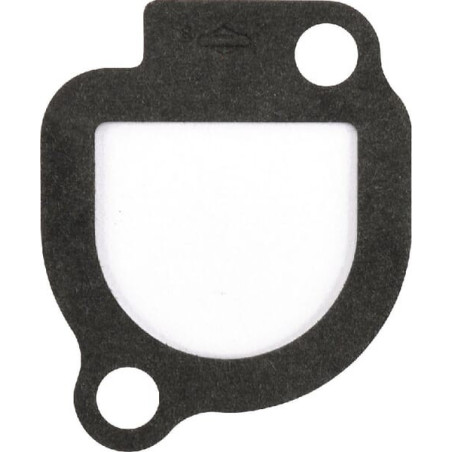 Joint d'étanchéité Briggs et Stratton - 272043