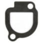 Joint d'étanchéité Briggs et Stratton - 272043