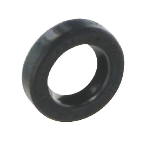 Joint à lèvre Briggs et Stratton - 842826
