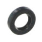 Guarnizione a labbro Briggs e Stratton - 842826