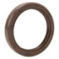 Guarnizione a labbro Briggs e Stratton - 841596