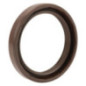 Guarnizione a labbro Briggs e Stratton - 841596