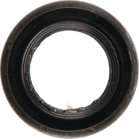 Joint à lèvre Briggs et Stratton - 710103