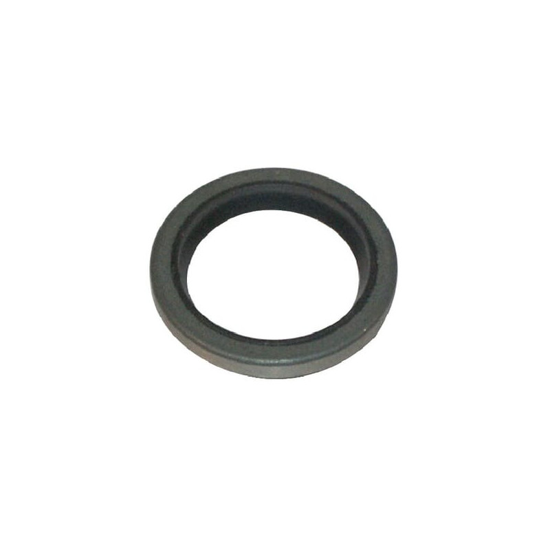 Joint à lèvre Briggs et Stratton - 294606S