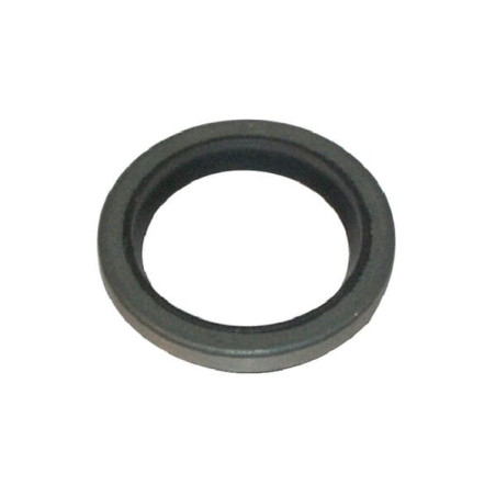 Joint à lèvre Briggs et Stratton - 294606S