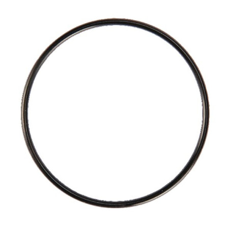 Briggs und Stratton-Dichtung – 806466