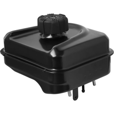Briggs- und Stratton-Stausee – 799325