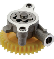 Briggs und Stratton Ölpumpe – 843959 2