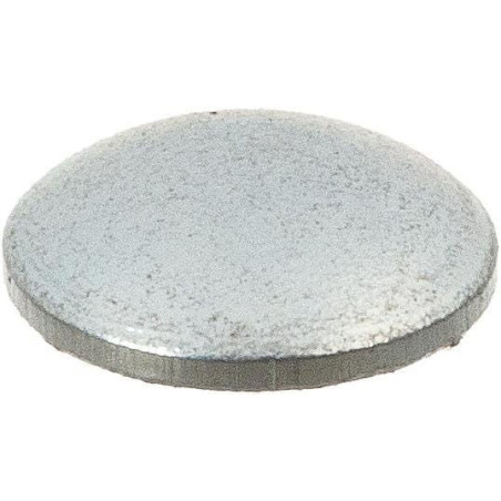 Persiana Briggs e Stratton - 695005