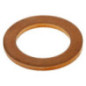 Washer, Briggs and Stratton gasket - 692343
