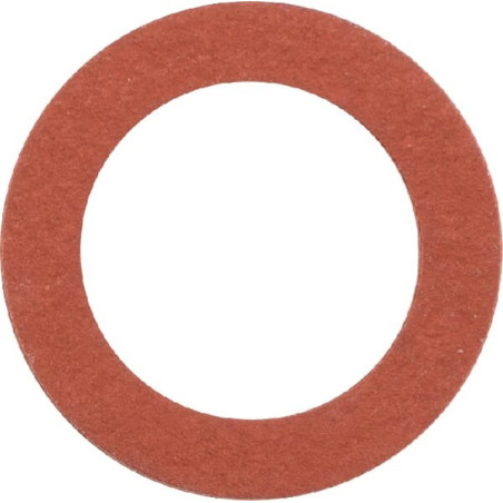 Rondella di bloccaggio Briggs and Stratton - 698540