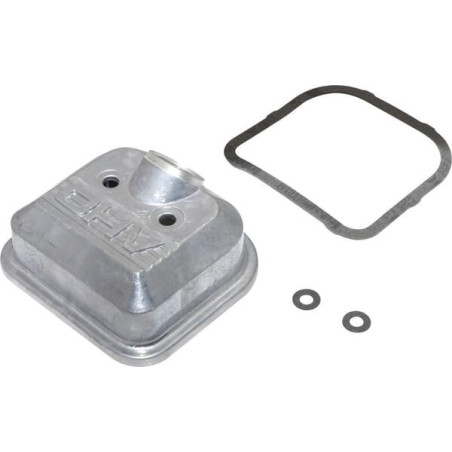 Tapa Briggs y Stratton - 843749