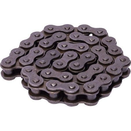 Catena a rulli Briggs e Stratton - 579851MA