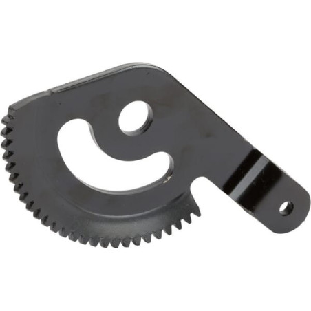 Attrezzatura Briggs e Stratton - 1751110YP