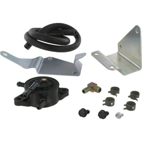 Kit pompa carburante Briggs and Stratton - 791885