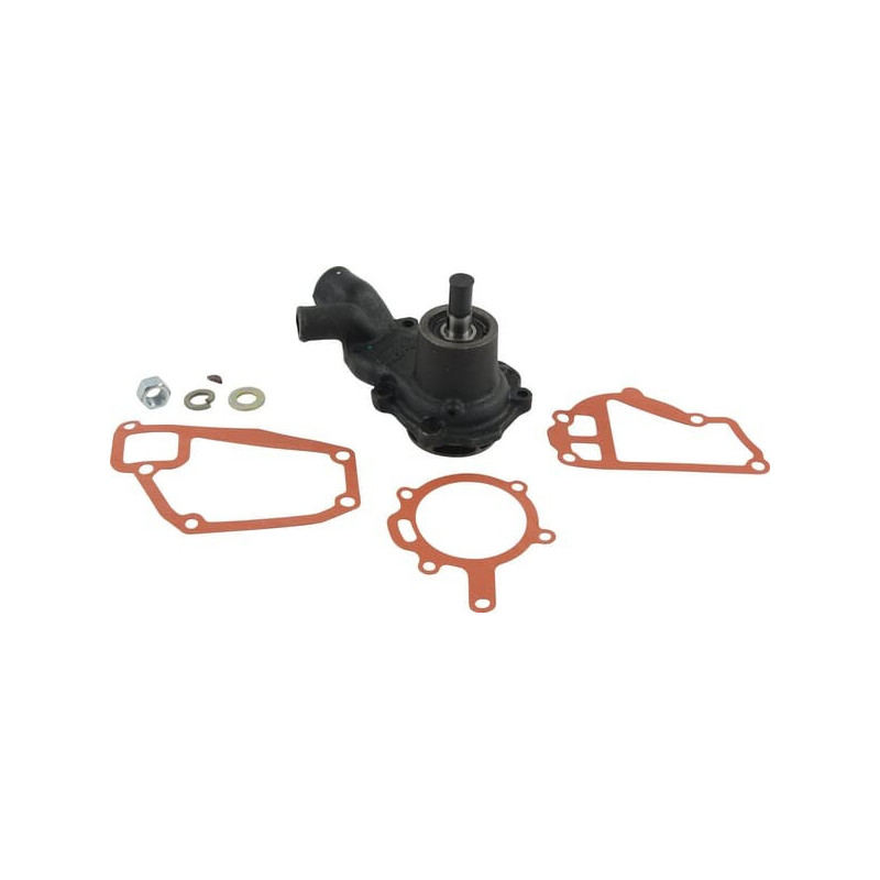 Briggs und Stratton Wasserpumpe – 825275