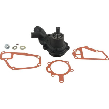 Pompe à eau Briggs et Stratton - 825275