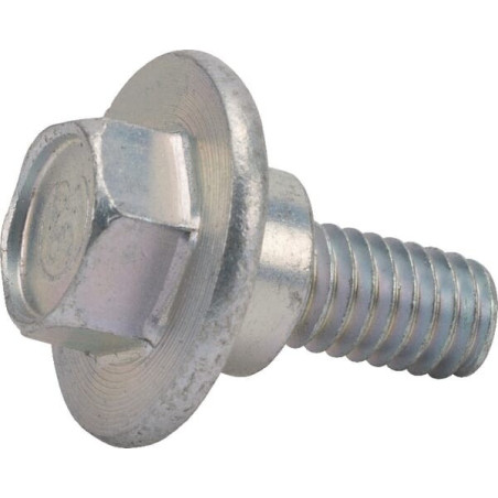 Briggs and Stratton screw - 1732426SM