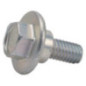 Briggs and Stratton Screw - 1732426SM