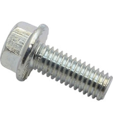 Briggs and Stratton screw - 704038