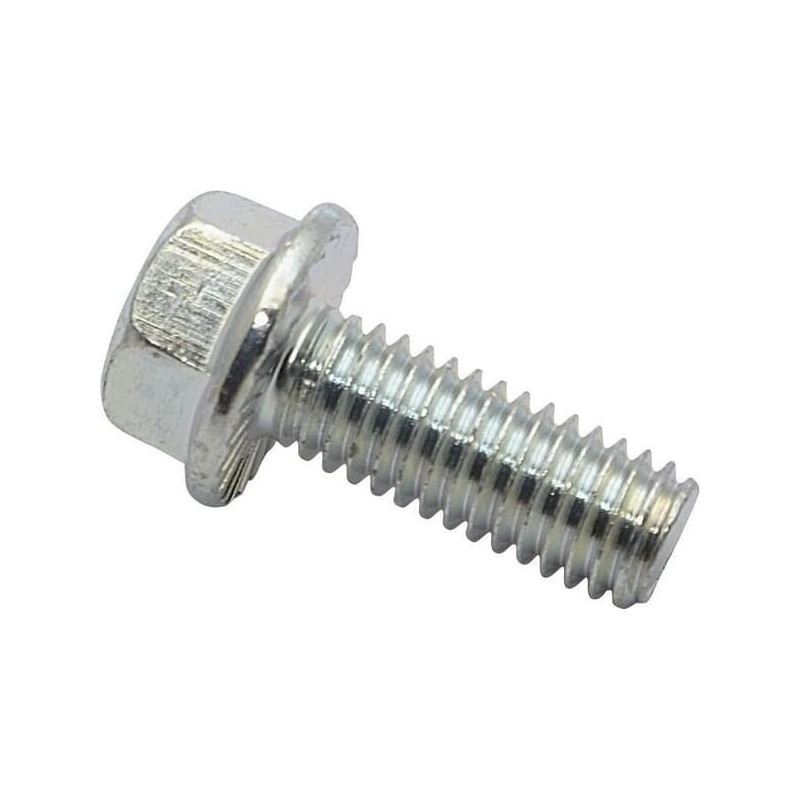 Briggs and Stratton Screw - 704038