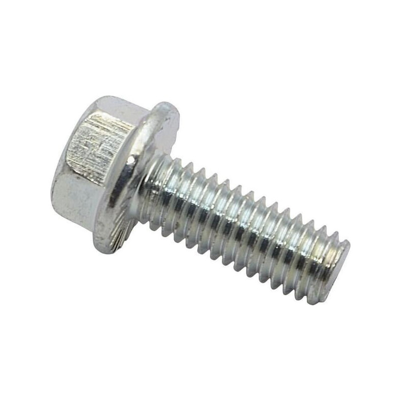 Tornillo Briggs y Stratton - 704038