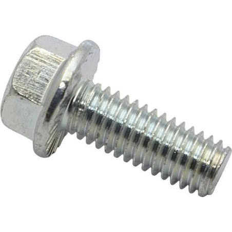 Briggs and Stratton screw - 704038
