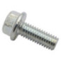 Briggs and Stratton Screw - 704038