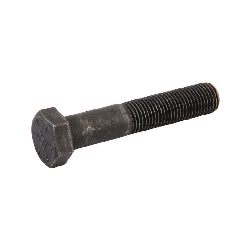 Briggs and Stratton Screw - 880034YP
