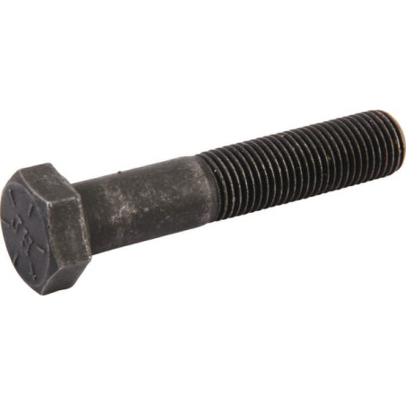 Briggs and Stratton screw - 880034YP