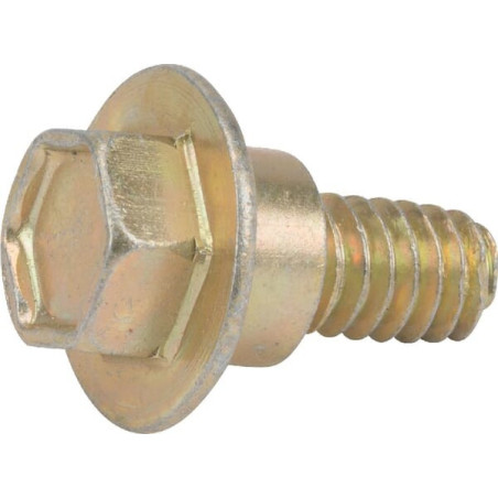 Briggs and Stratton screw - 692199