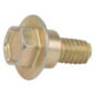Briggs and Stratton Screw - 692199