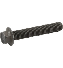 Briggs and Stratton screw - 690976
