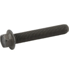 Tornillo Briggs y Stratton - 690976