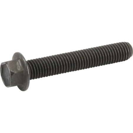 Briggs and Stratton screw - 690976