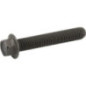 Briggs and Stratton Screw - 690976