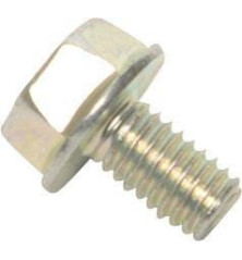 Briggs and Stratton screw - 841233